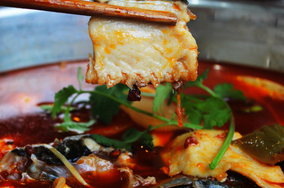 火鍋魚正宗培訓 火鍋魚正宗培訓