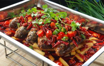 成都溫江烤魚技術培訓價格哪家靠譜？