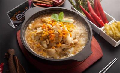 啵啵魚訓練哪個好?環(huán)保綠色，健康衛(wèi)生