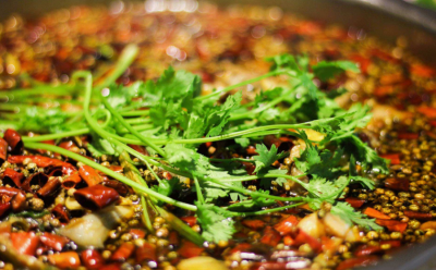 成都美蛙魚培訓那家好？