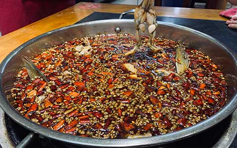 20230718104306650726.jpg IMG_2380(20230624-161849).jpg