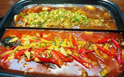 想開烤魚店哪里可以學習烤魚技術？