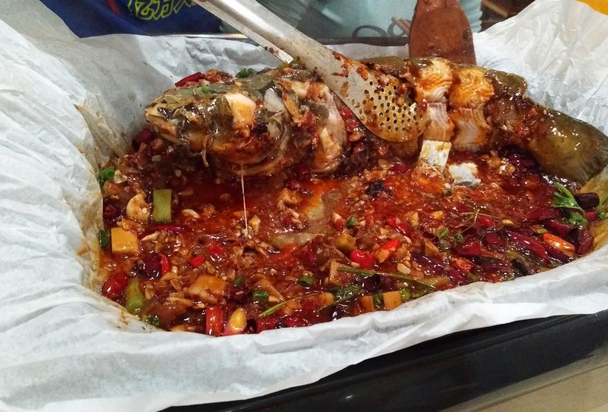 20240416184716113139.jpg 20240416184716113139.jpg