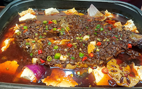 20240913162555424379.jpg 20240913162555424379.jpg