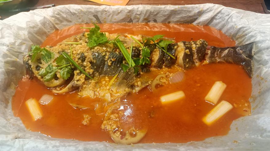 20240914152731131995.jpg 20240914152731131995.jpg