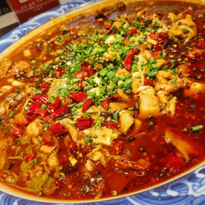 重慶來鳳魚培訓學校哪家好？深度解析蜀味緣為何備受青睞