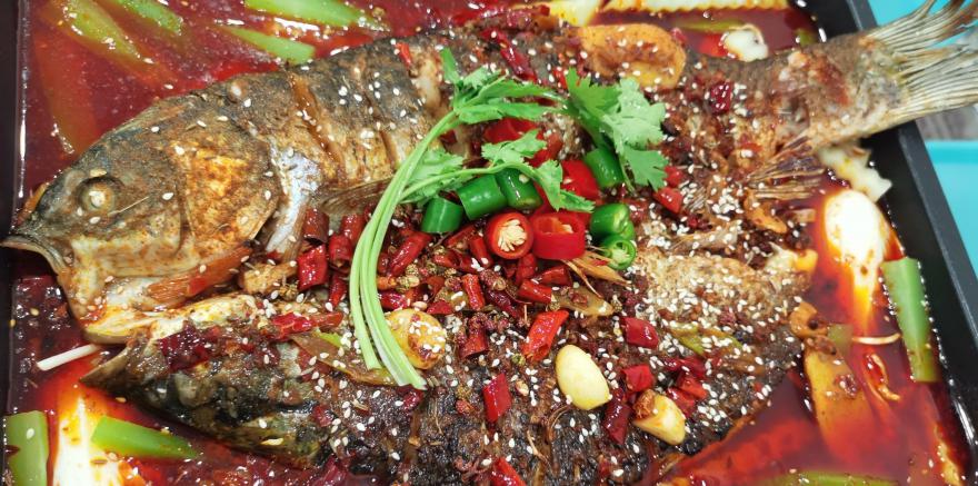 20251113113207229746.jpg 20251113113207229746.jpg